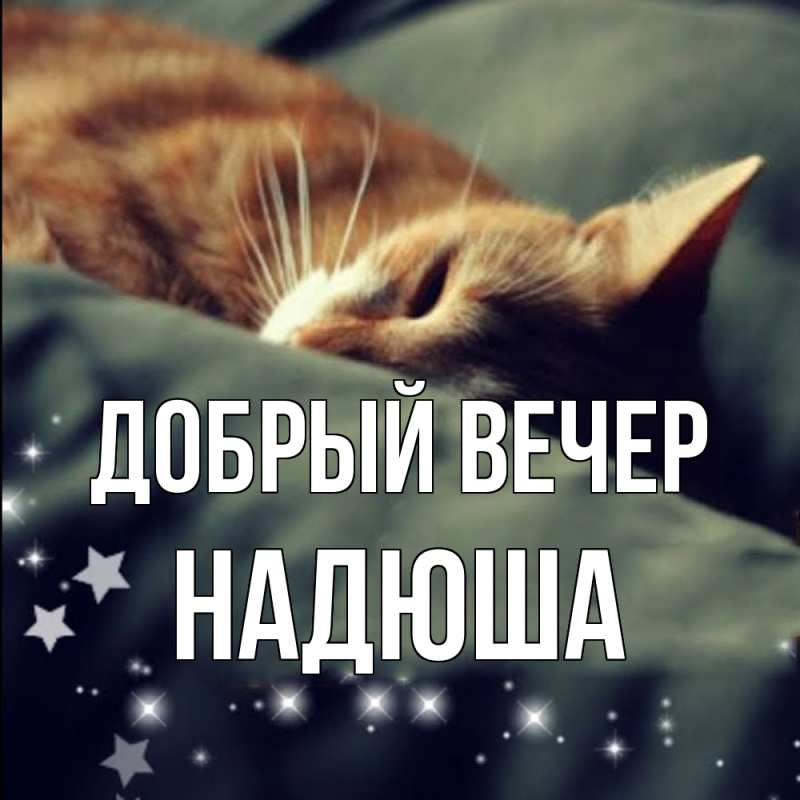 Картинка Добрый вечер, Надюша
