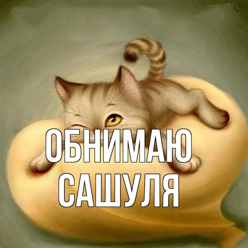 Картинка Обнимаю, Сашуля