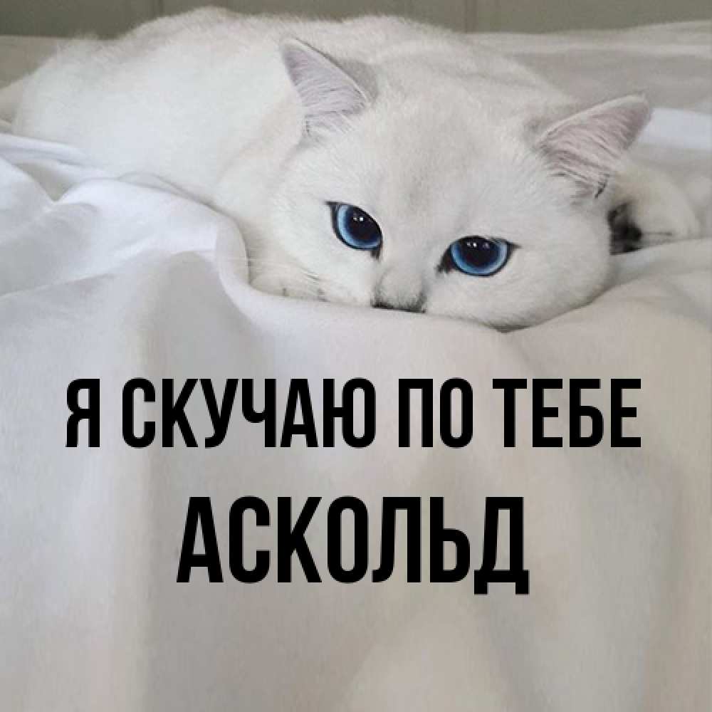 Открытка  с именем. Аскольд, Я скучаю по тебе  