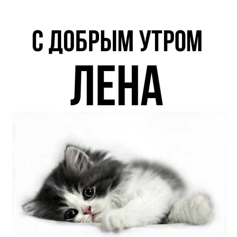 Открытка  с именем. Лена, С добрым утром  