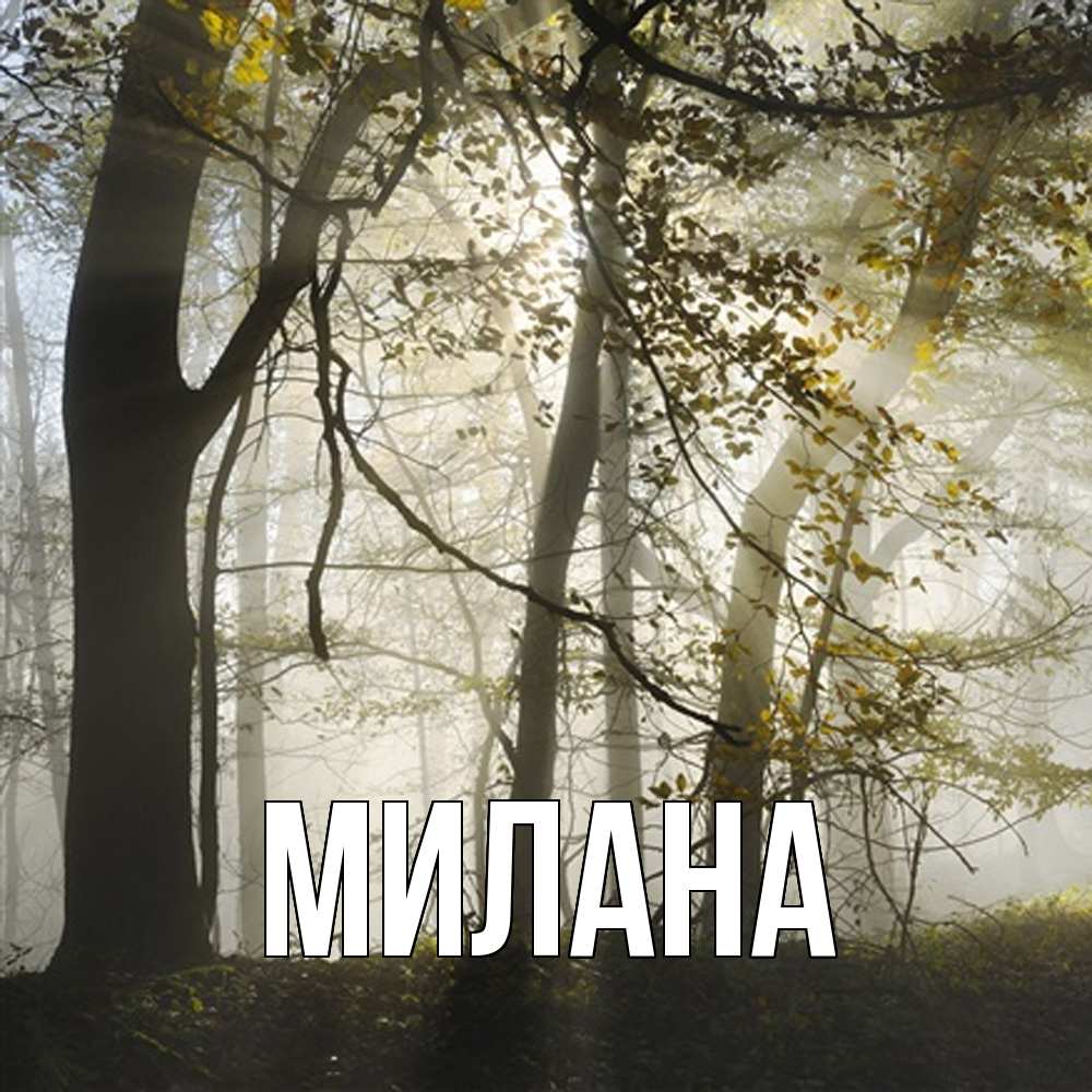 Открытка  с именем. Милана, Главная  