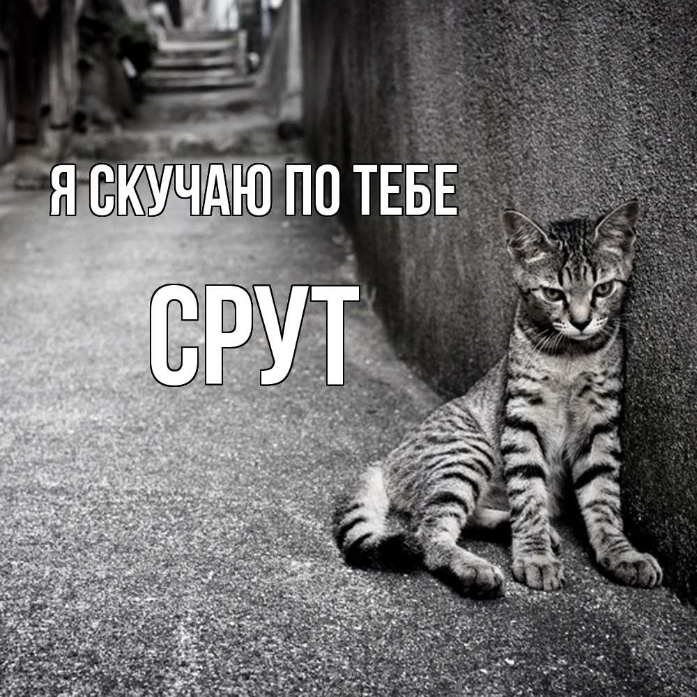 Открытка  с именем. срут, Я скучаю по тебе  