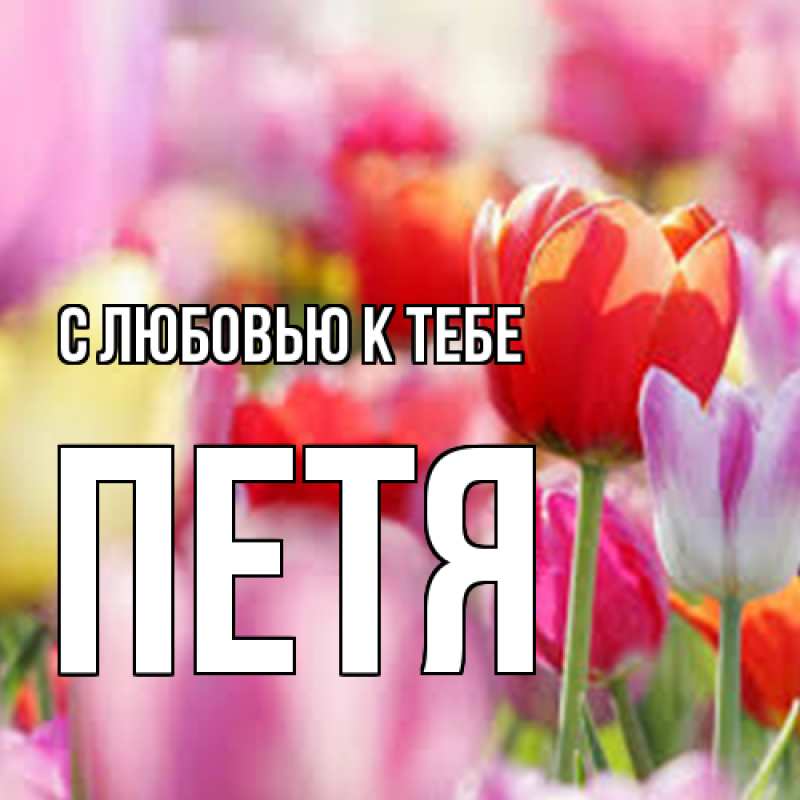 Картинка С любовью к тебе, Петя