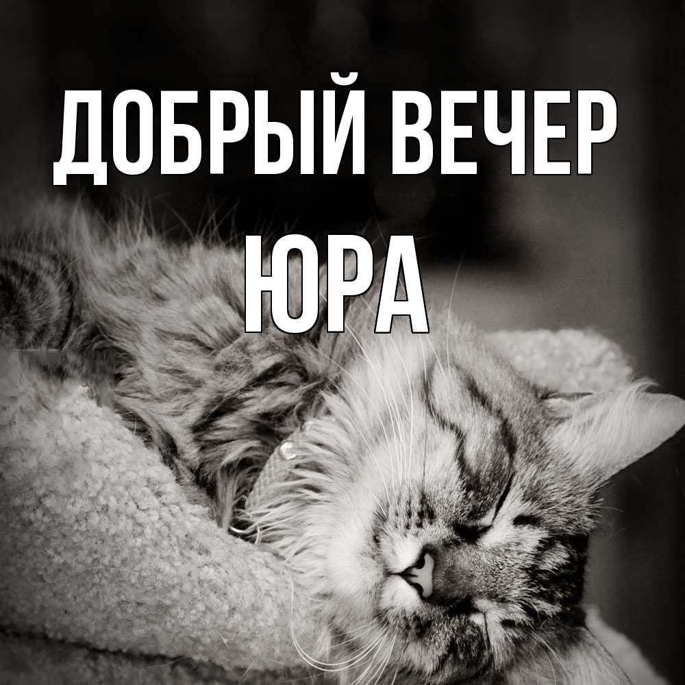Открытка  с именем. Юра, Добрый вечер  