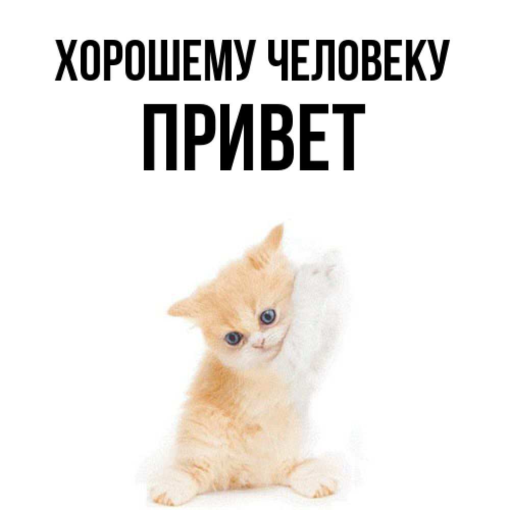 Открытка  с именем. Привет, Хорошему человеку  