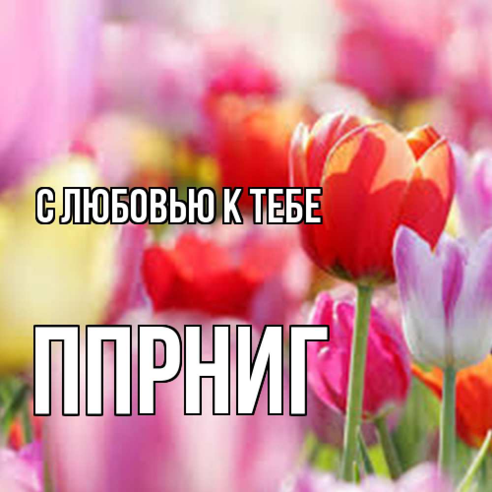 Открытка  с именем. Ппрниг, С любовью к тебе  