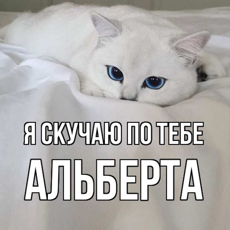 Картинка Я скучаю по тебе, Альберта