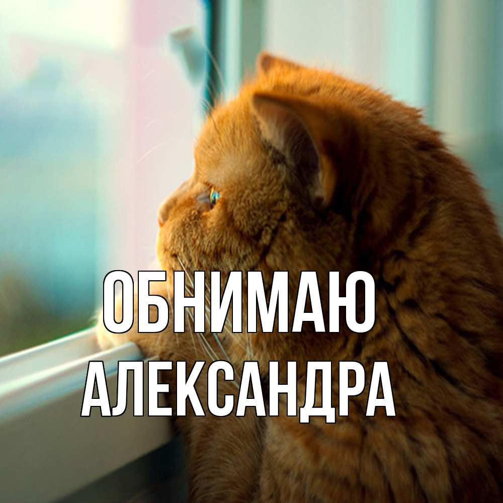 Открытка  с именем. Александра, Обнимаю  
