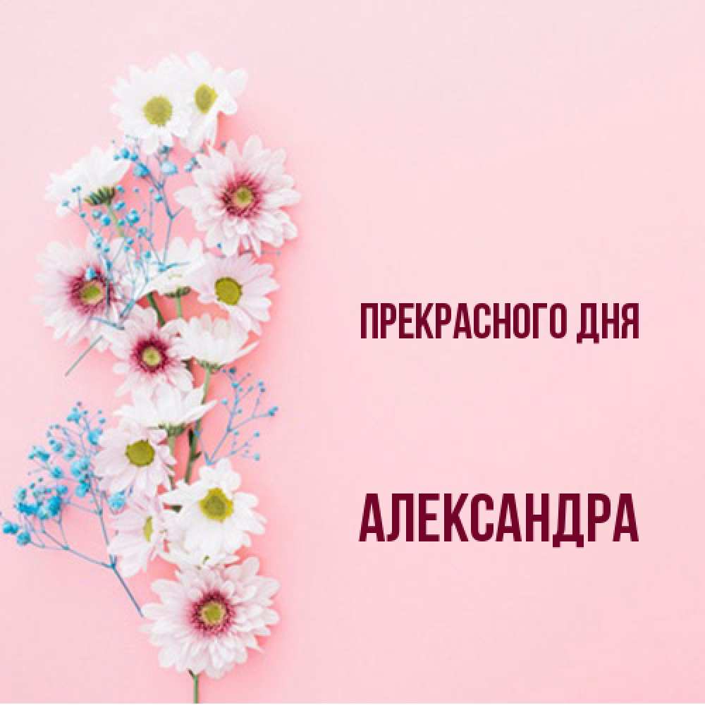 Открытка  с именем. Александра, Прекрасного дня  