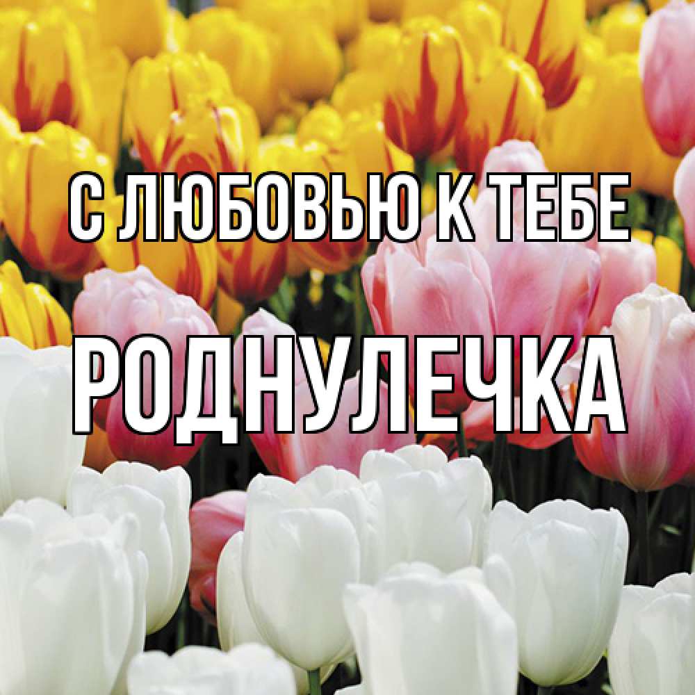 Открытка  с именем. Роднулечка, С любовью к тебе  