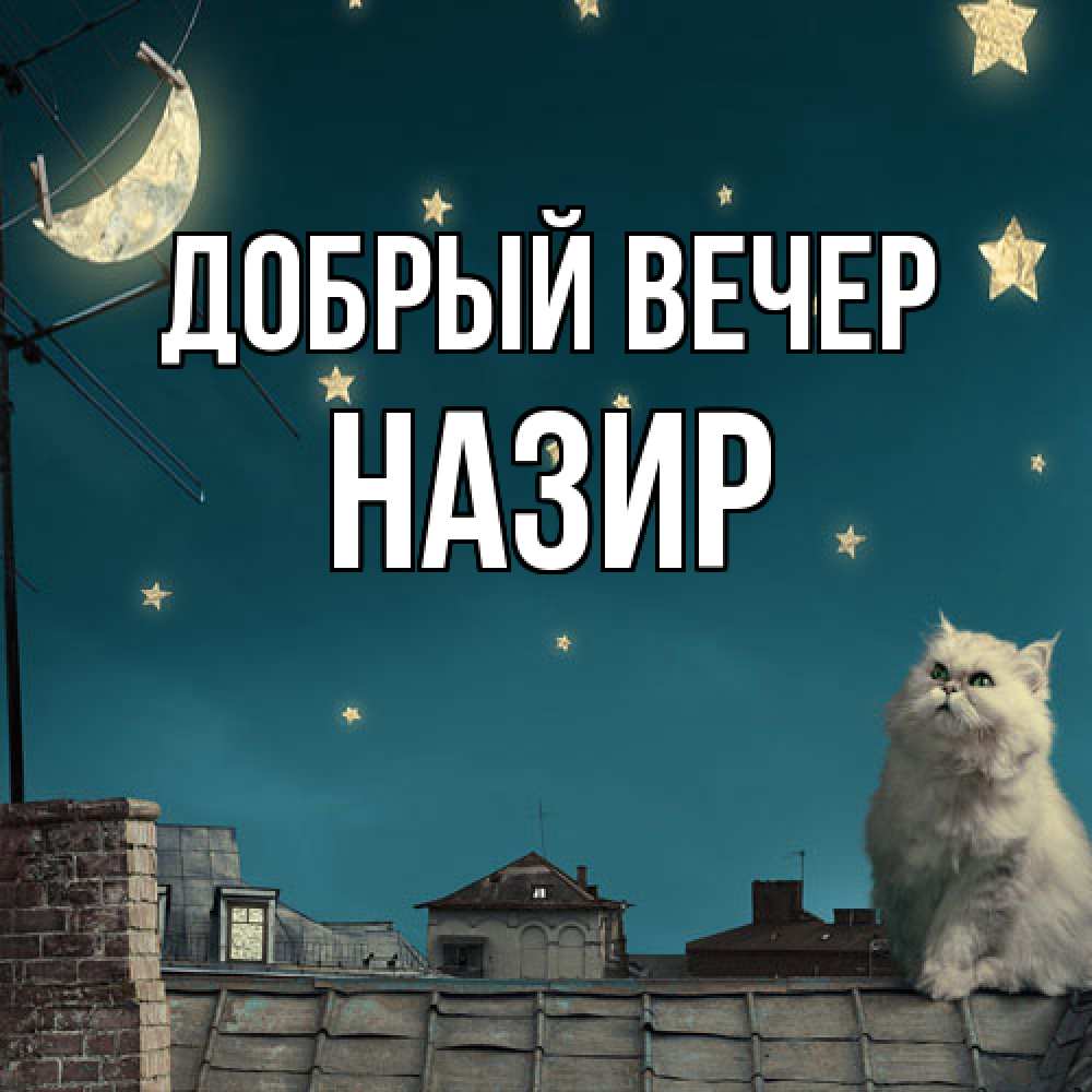 Открытка  с именем. Назир, Добрый вечер  
