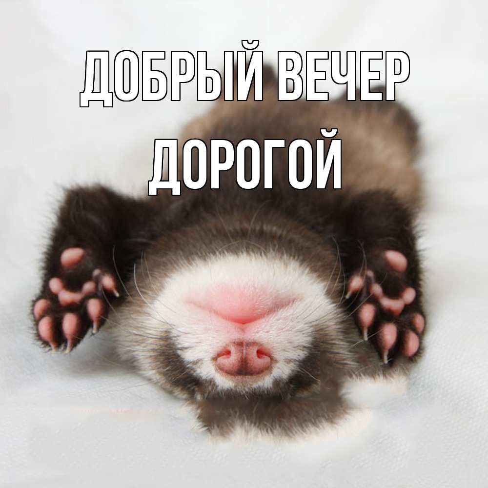 Открытка  с именем. Дорогой, Добрый вечер  