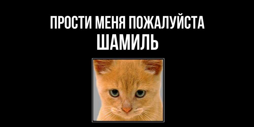 Открытка  с именем. Шамиль, Прости меня пожалуйста  