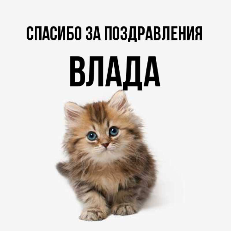 Картинка Спасибо за поздравления, Влада