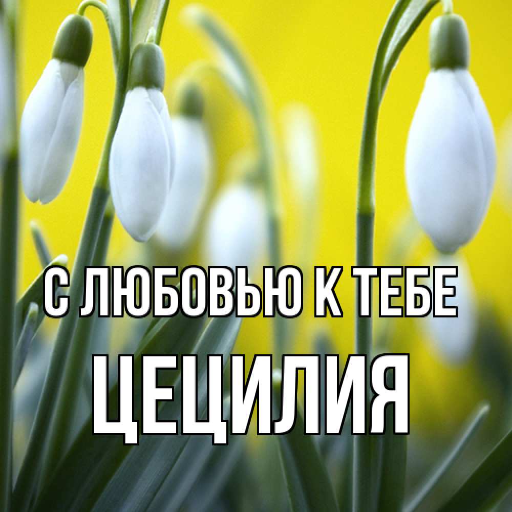Открытка  с именем. Цецилия, С любовью к тебе  