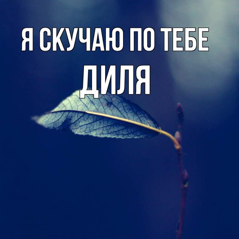 Картинка Я скучаю по тебе, Диля