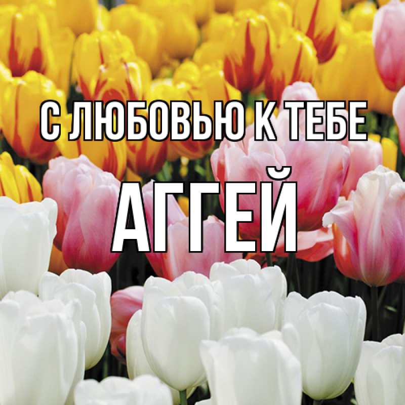 Открытка с именем, Аггей, С любовью к тебе