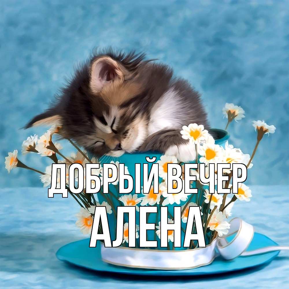 Открытка  с именем. Алена, Добрый вечер  