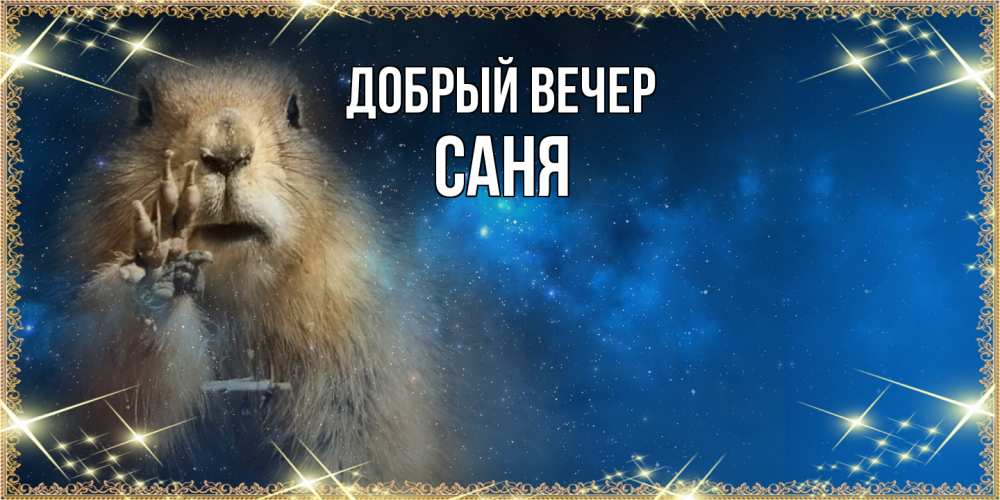 Открытка  с именем. Саня, Добрый вечер  