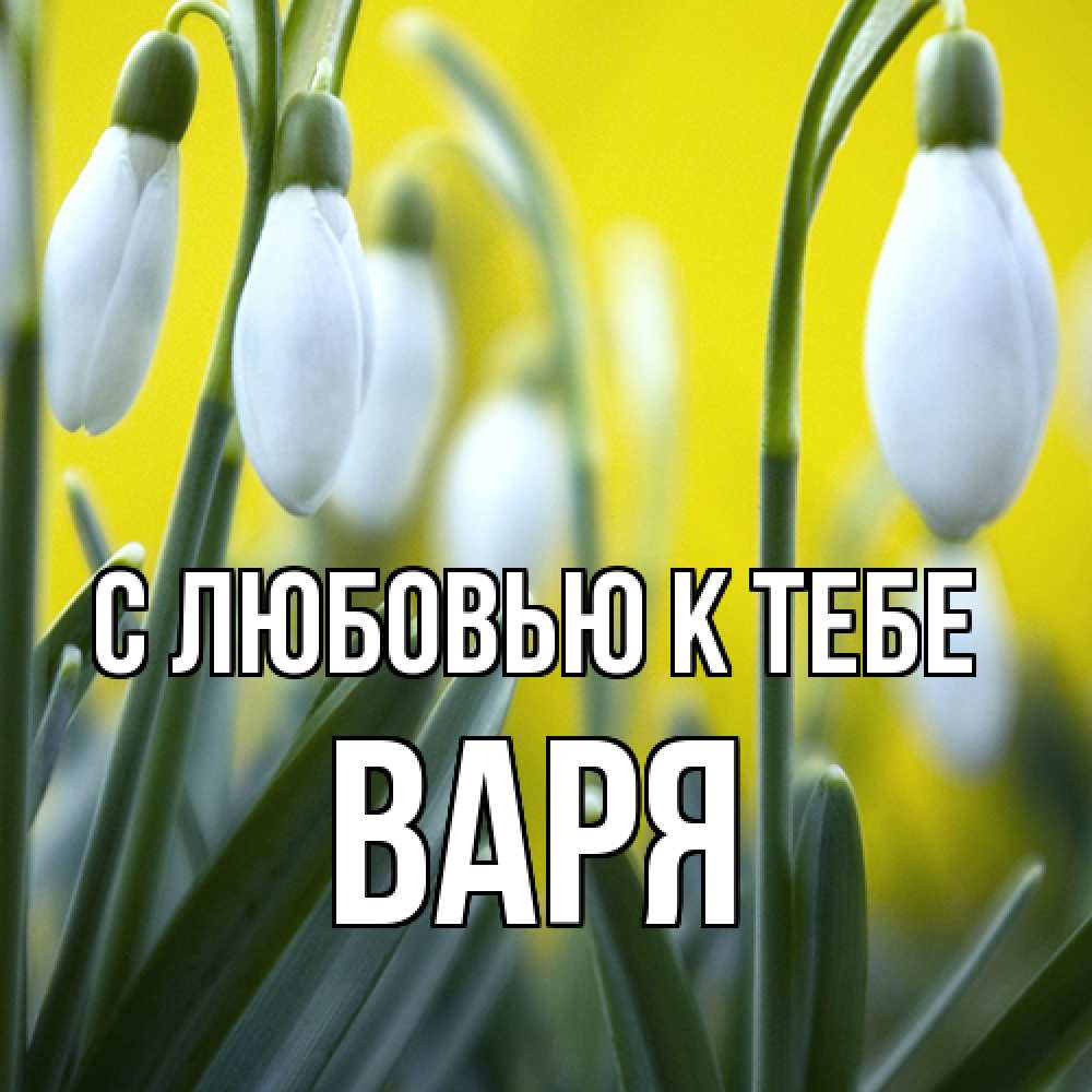 Открытка  с именем. варя, С любовью к тебе  