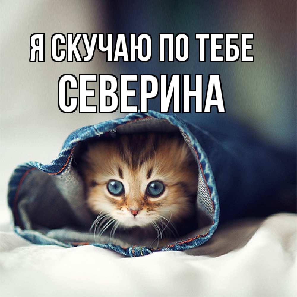 Открытка  с именем. Северина, Я скучаю по тебе  