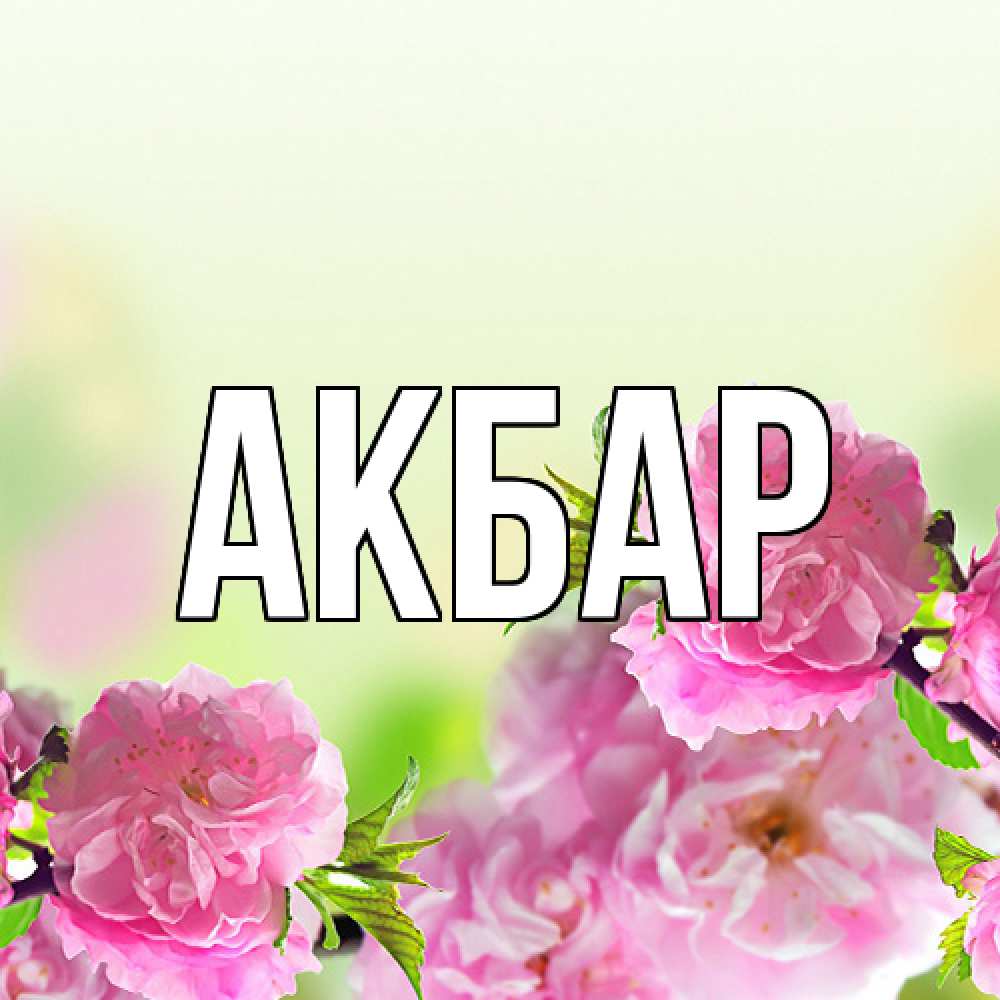 Открытка  с именем. Акбар, Главная  