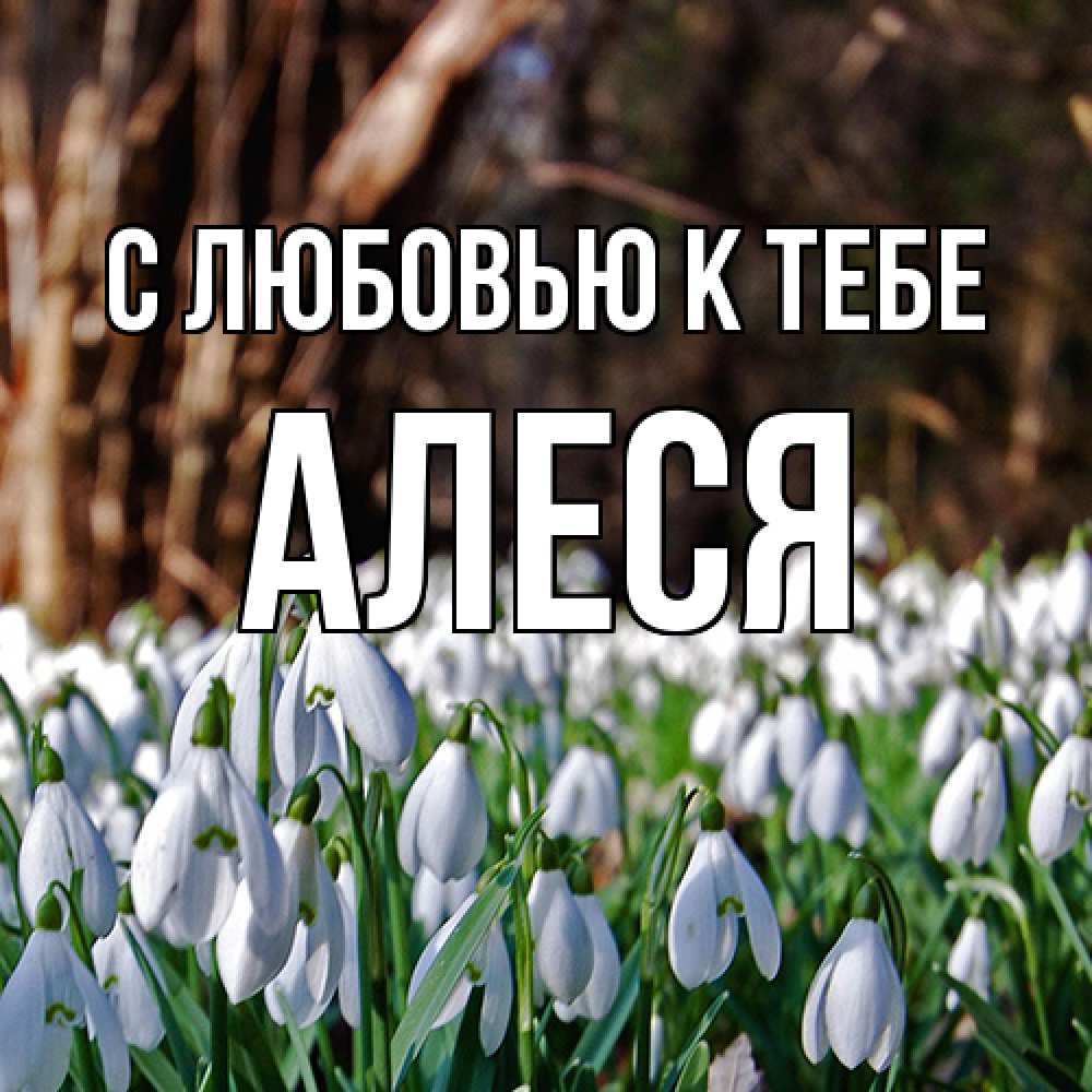 Открытка  с именем. Алеся, С любовью к тебе  