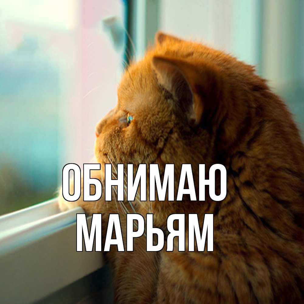 Открытка  с именем. Марьям, Обнимаю  