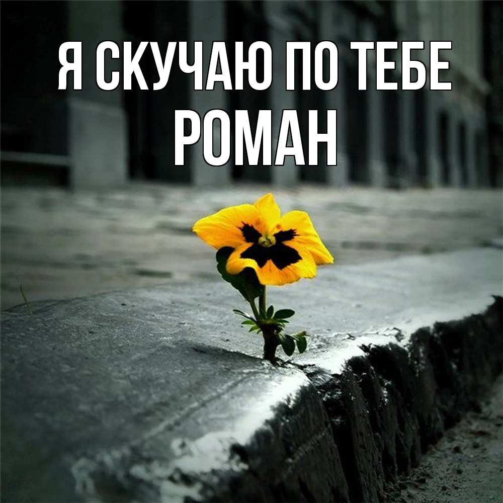 Открытка  с именем. Роман, Я скучаю по тебе  