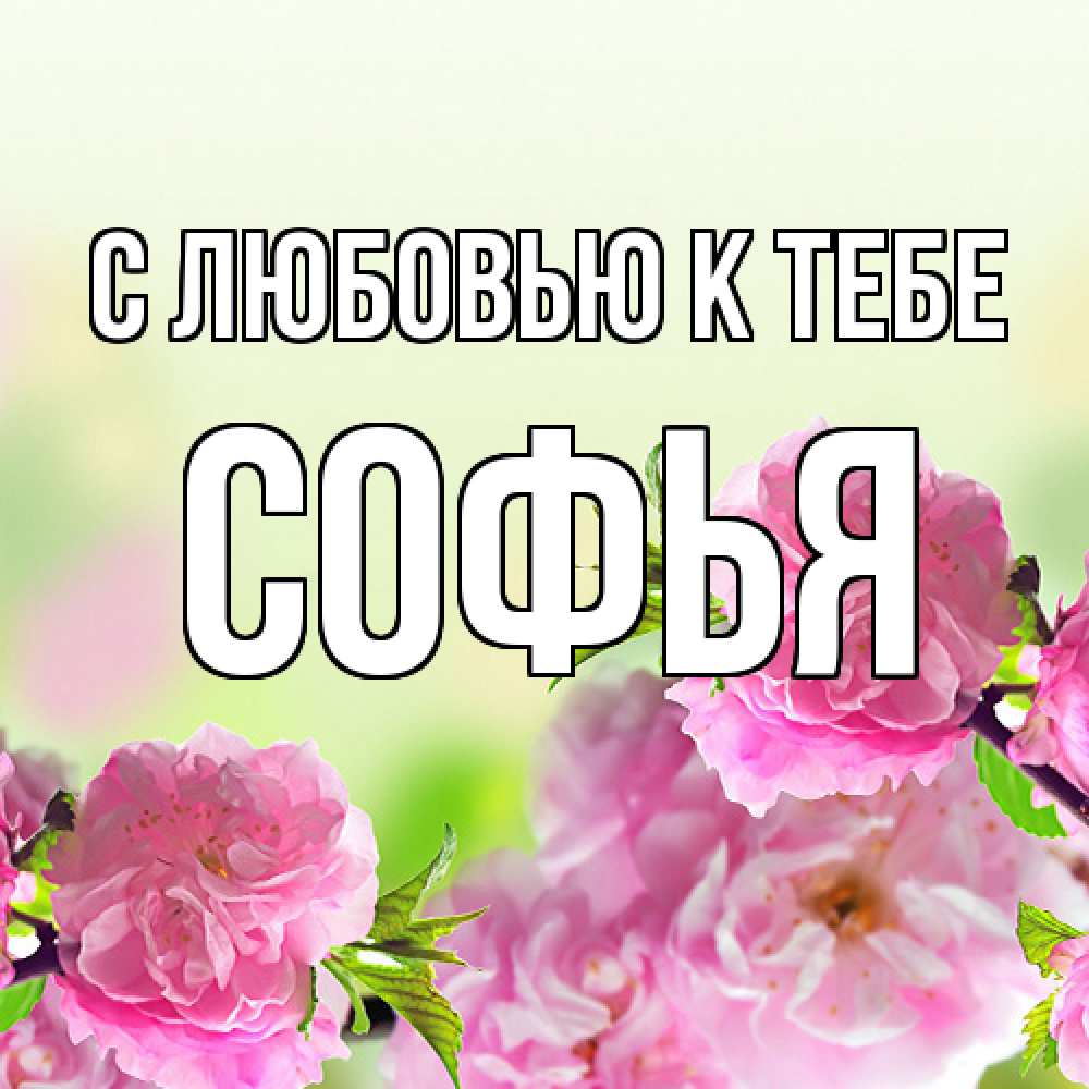 Открытка  с именем. Софья, С любовью к тебе  