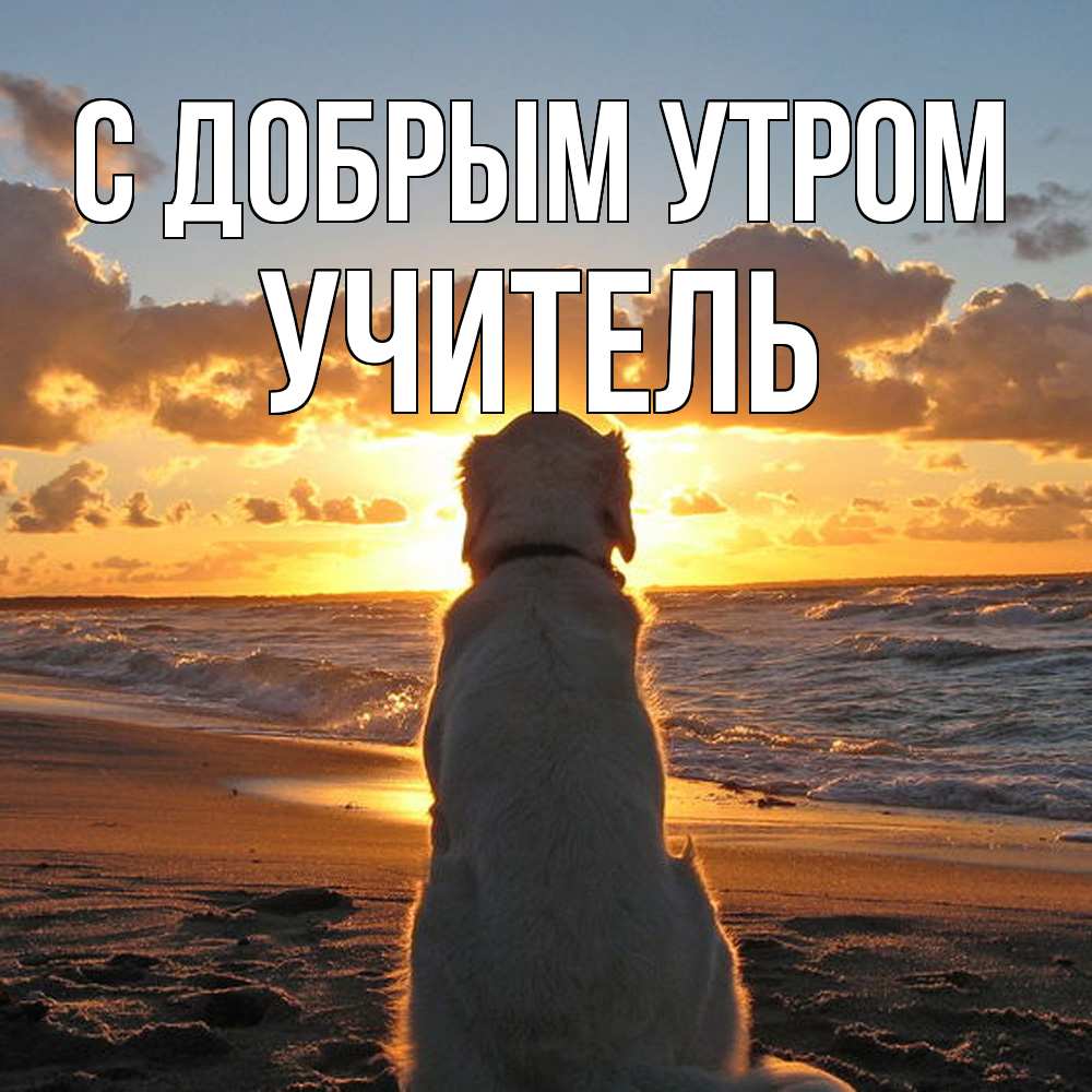 Открытка  с именем. Учитель, С добрым утром  