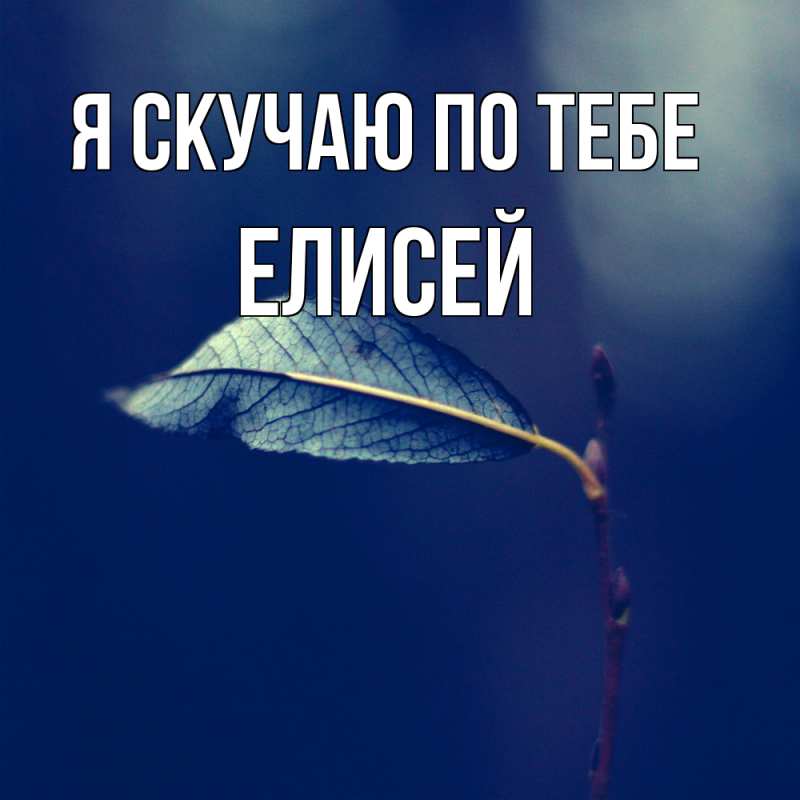 Картинка Я скучаю по тебе, Елисей