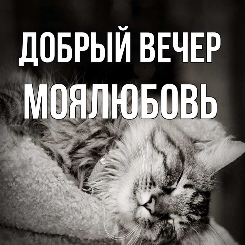 Картинка Добрый вечер, Моялюбовь