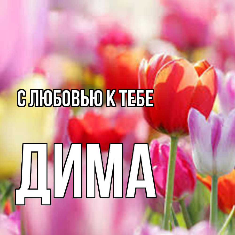 Открытка  с именем. Дима, С любовью к тебе  