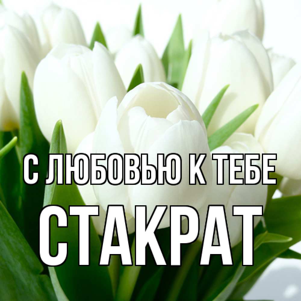 Открытка  с именем. Стакрат, С любовью к тебе  