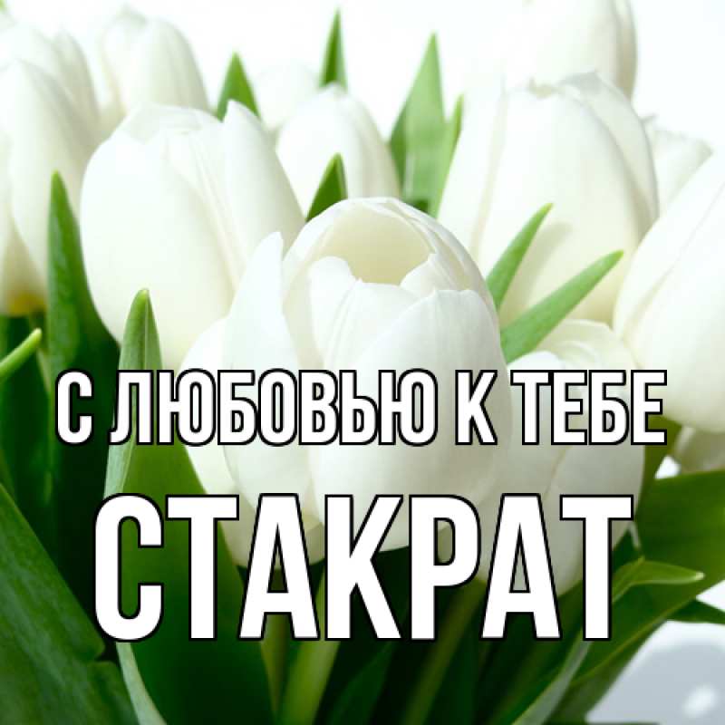 Картинка С любовью к тебе, Стакрат