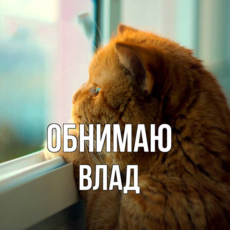 Картинка Обнимаю, Влад