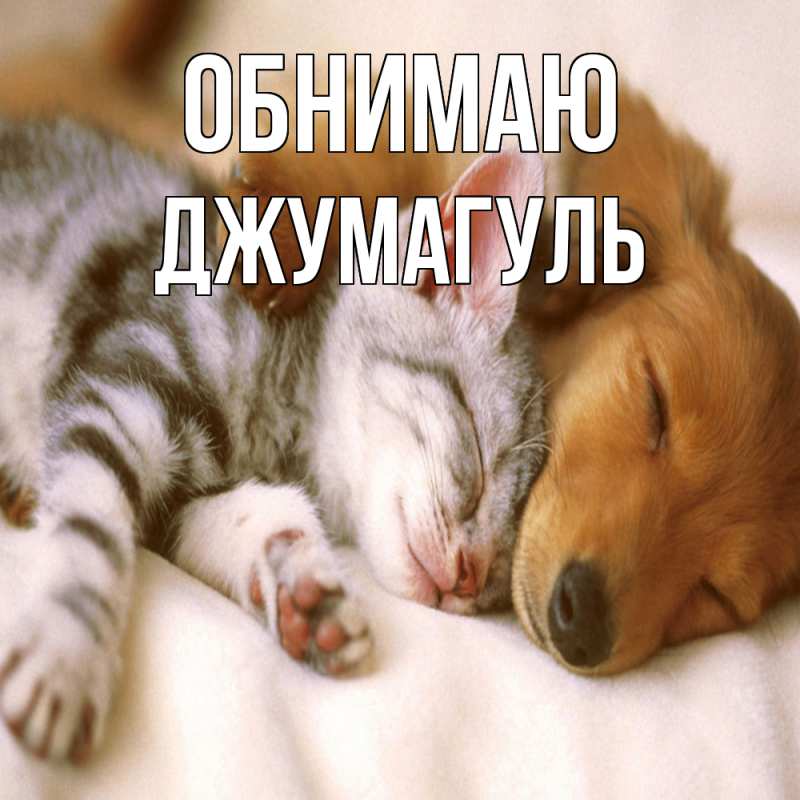 Картинка Обнимаю, Джумагуль