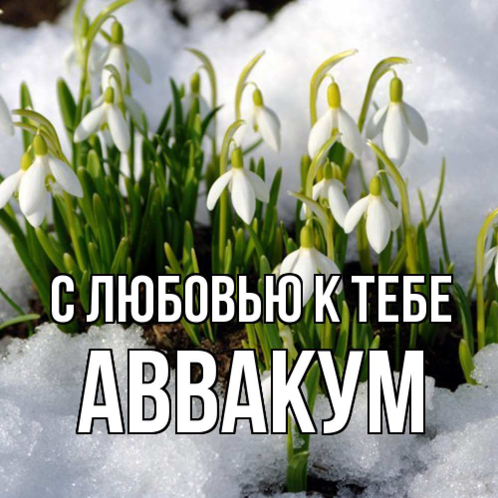 Открытка  с именем. Аввакум, С любовью к тебе  