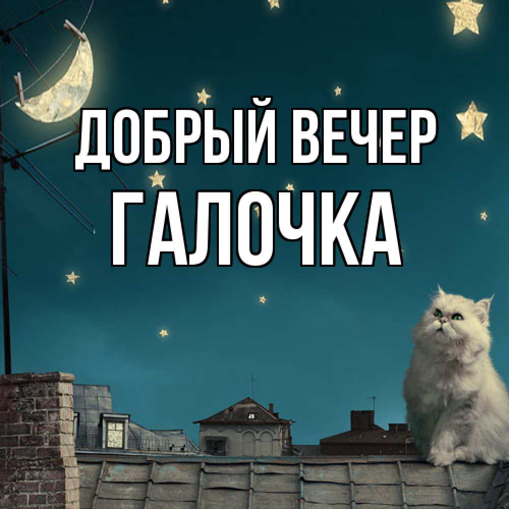 Открытка  с именем. Галочка, Добрый вечер  