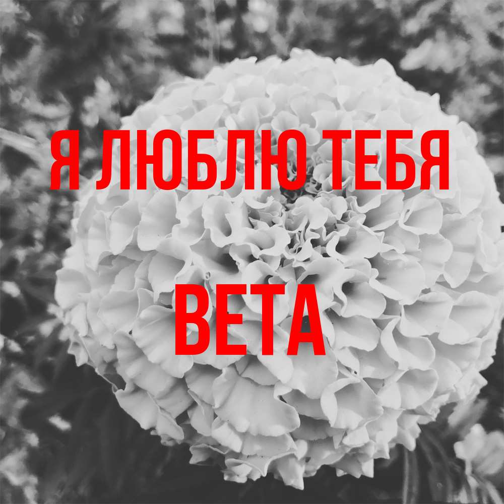Открытка  с именем. вета, Я люблю тебя  