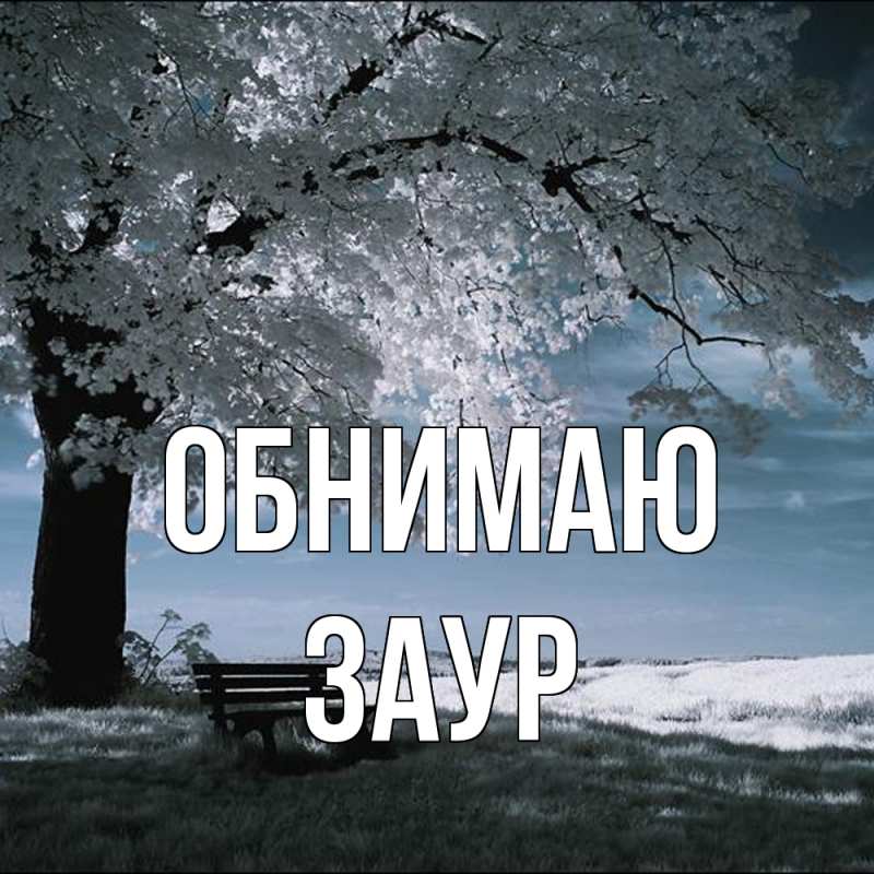 Картинка Обнимаю, Заур