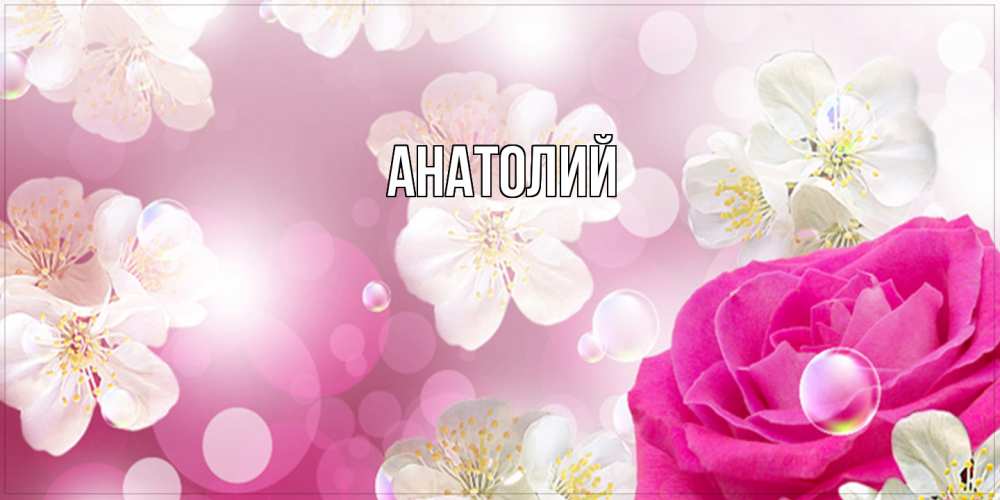 Открытка  с именем. Анатолий, Главная  