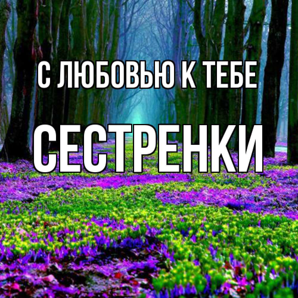 Открытка  с именем. Сестренки, С любовью к тебе  