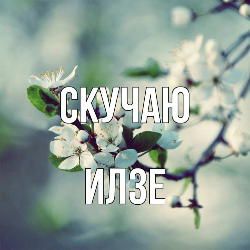 Картинка Скучаю, Илзе