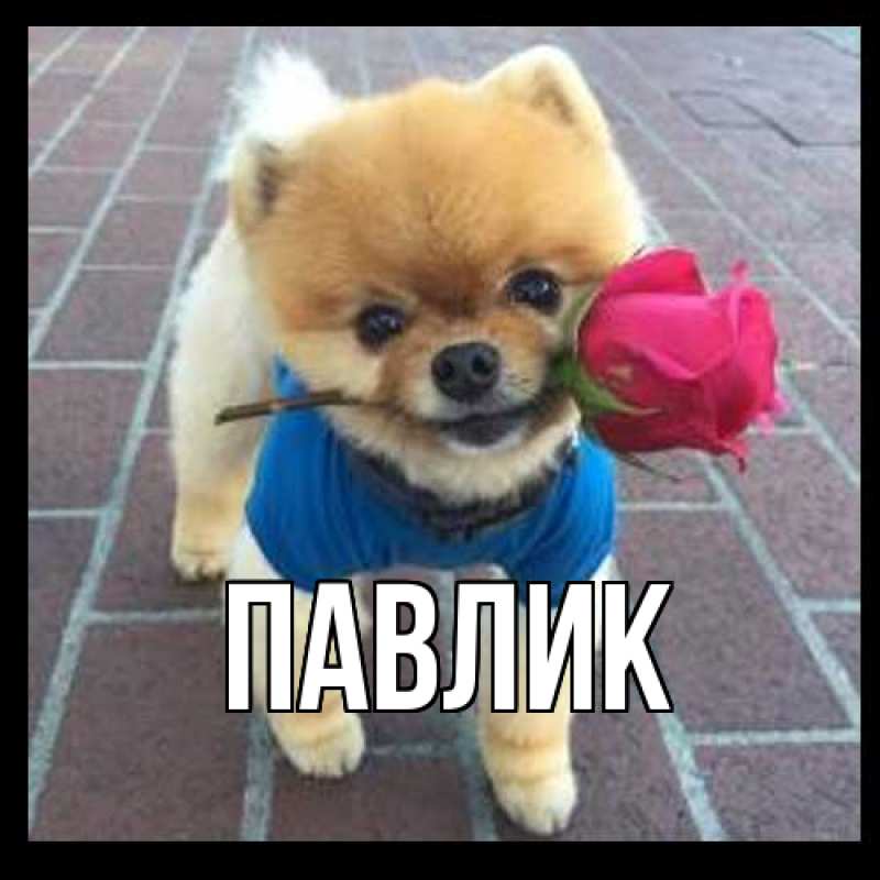 Картинка  с именем , Павлик