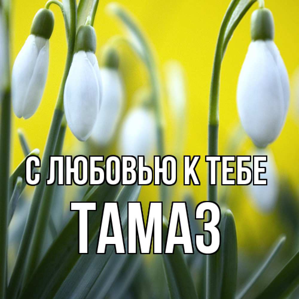 Открытка  с именем. Тамаз, С любовью к тебе  