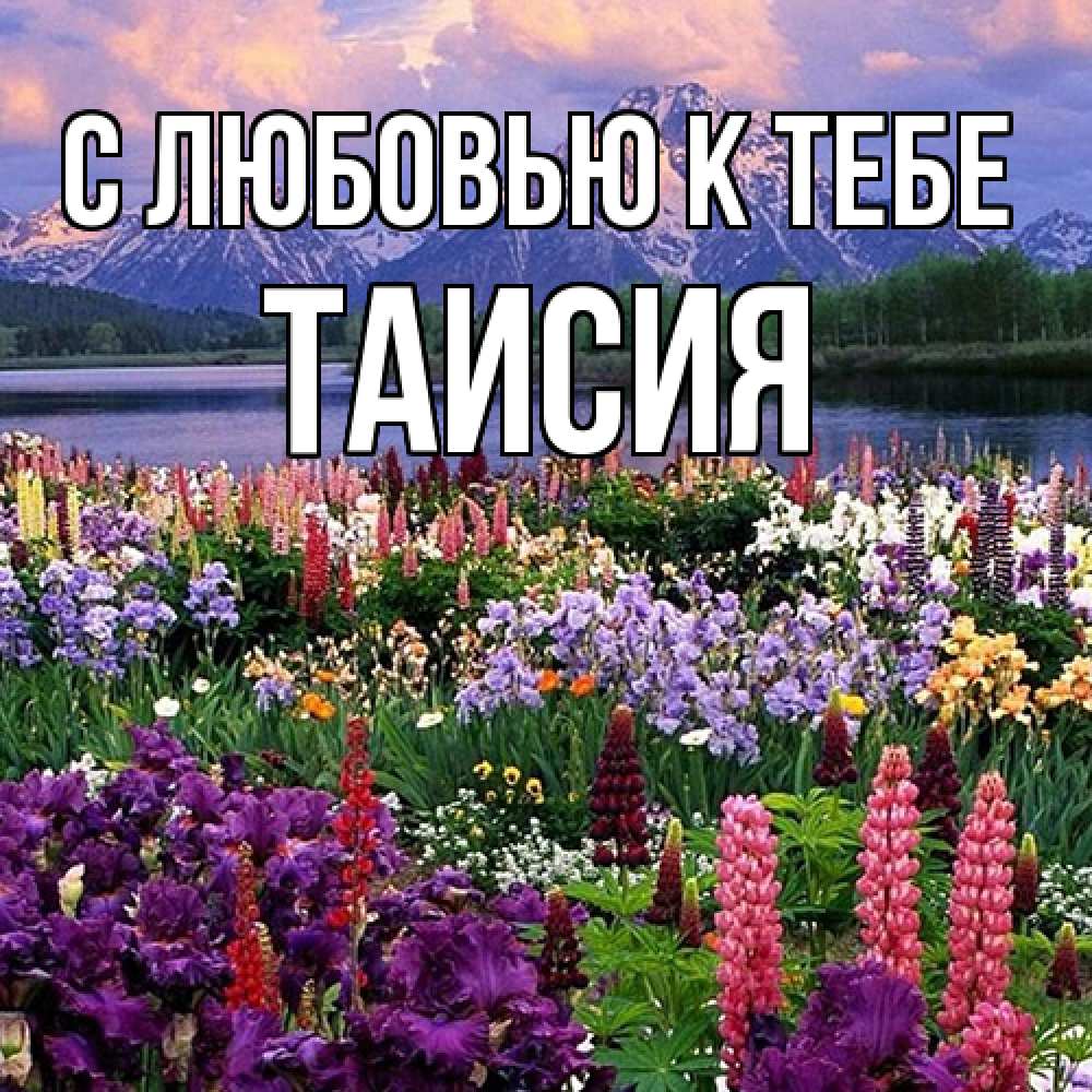 Открытка  с именем. Таисия, С любовью к тебе  
