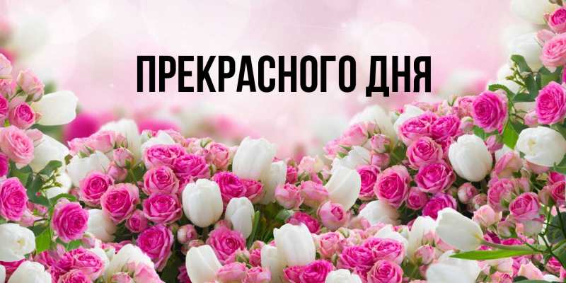 Картинка Прекрасного дня, 