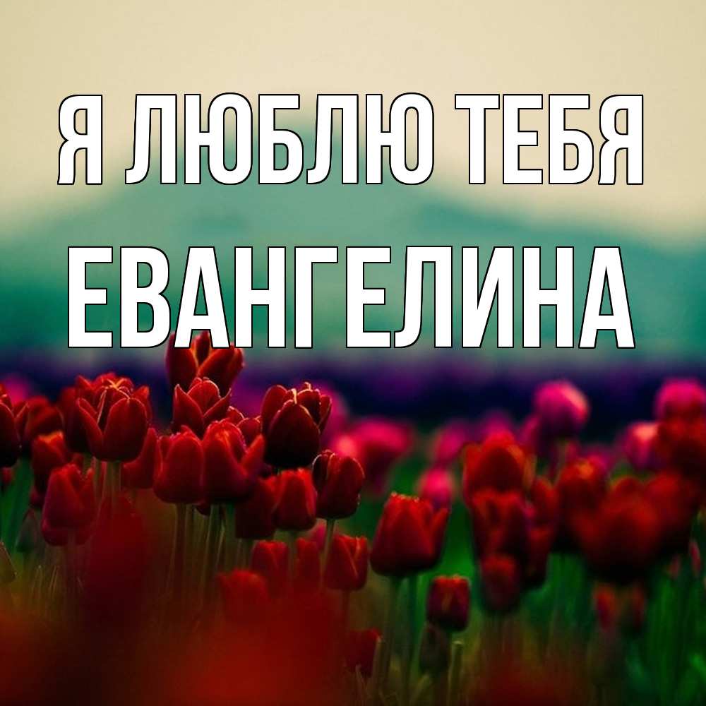 Открытка  с именем. Евангелина, Я люблю тебя  